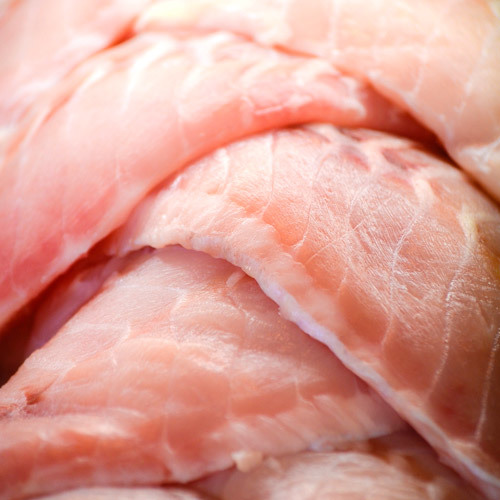 Fresh Pacific Snapper